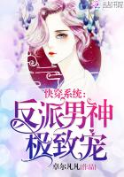 Fast Transmigration System: The villain male god's ultimate favor