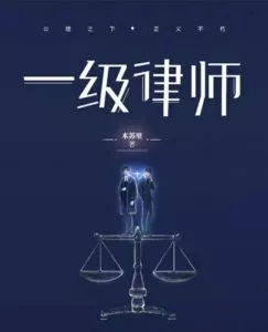 The Lawyer